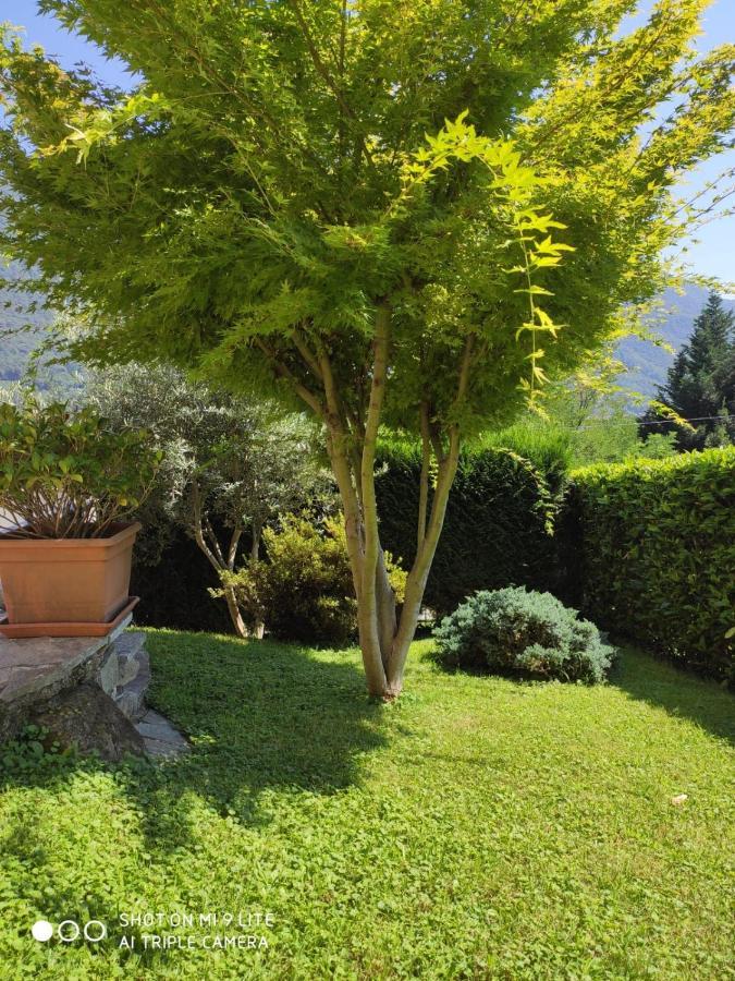 Casa Vacanza Il Glicine Casale Corte Cerro Exteriér fotografie