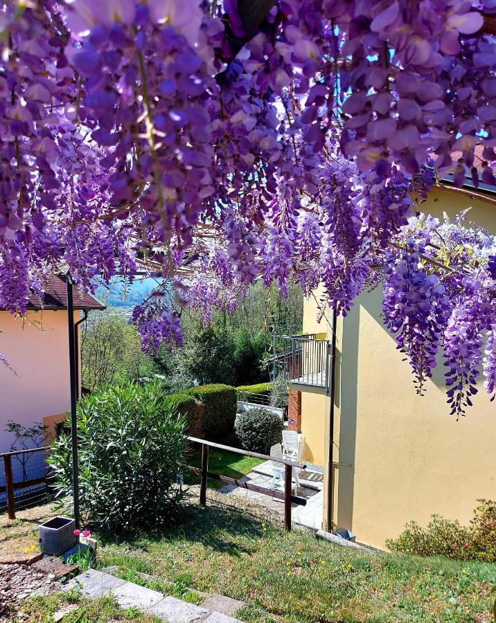 Casa Vacanza Il Glicine Casale Corte Cerro Exteriér fotografie